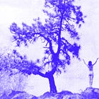 Freehiking: Tips for doing it legally (and illegally)