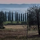 La bellezza come antidoto alla paura