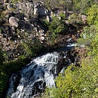 Field notes from the Jatbula Trail