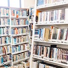 Essay Collection: Books Where Art Meets Psychology