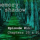 The Memory of My Shadow #11