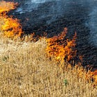 Διατροφή, ενέσεις και απαγορεύσεις