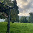 Staying On The Farm
