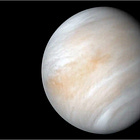 Why Not Venus?