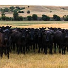 Trump cabinet, state powerbrokers went to bat for S.D. ranch couple
