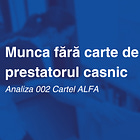 Munca fără carte de muncă: prestatorul casnic [002]