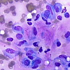 Alkaline Phosphatase for Cytology Staining 
