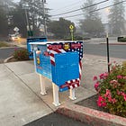 A mostly local Sebastopol election guide