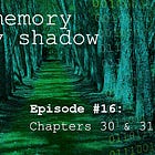 The Memory of My Shadow #16