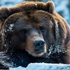 October Recap: 🐻 Small Hibernation