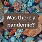 Was there a pandemic?