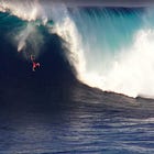 Surfing the Waves of American Politics