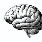 Just like I said it would, the "infectious" theory of Alzheimer's disease is making rounds