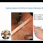 Sydney Protocol for Stomach Biopsies