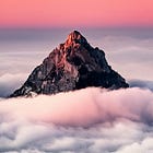 Principles to Guide Our Early Observations