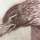Weekly Prompt No. 8: Deep Observation