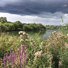 How green are our valleys? The wildlife of abandoned spoil tips