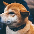 Hey, What Is A Russian Server Doing With DOGE Logins?