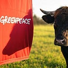 Greenpeace Messed With the Bull, Got Both Horns, and Found Out 