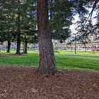 Mayor Tries To Axe Homelessness Task Force
