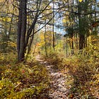 Miles from the Well-Worn Path