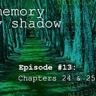 The Memory of My Shadow #13