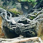 Resilience Explained: Your Comprehensive FAQ
