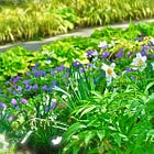 Chanticleer: a plantsmen's garden