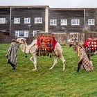 In Brecon As It Was In Bethlehem: A Very Welsh Nativity