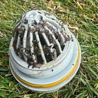 SCOUTING REPORT | Bad golf mussels, Aberdeen thefts, fourth-grade essay winners, Red Cross super volunteer