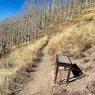 Getting Loopy on Long Runs