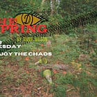 Enjoy the Chaos
