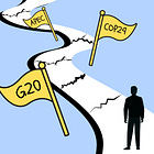 G20, APEC, and COP29 Reveal the New "Geopolitical Outlook" of Nations