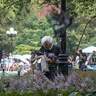 The Wildlife of Manhattan