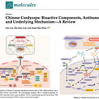 Cordyceps Mushroom Holds Promise Against mRNA Vaccine-Induced Turbo Cancer