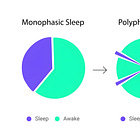 Cơ Bản Về Giấc Ngủ Đa Pha (Polyphasic Sleep)