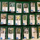 Est-ce ceci la plus simple façon de créer une Grainothèque de fleurs sauvages?