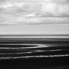 Notes On: The Sea