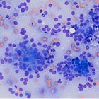 Breaking the (Cytology) Rules