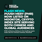 Puush Mery (PMR) Now Listed on Moontok, Crypto Index Site Serving Both Chinese and Global Audiences