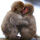 The Down & Dirty of Monkey Pox