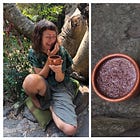 Why I drink ceremonial-grade cacao - A post *not only* for the newcomers