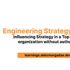 Engineering Strategy Guide — Influencing Strategy in a Top-Down organization without authority