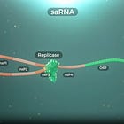 European Approval of Experimental COVID-19 Replicon mRNA Injections is a Grave Mistake