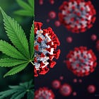 Cannabis and COVID-19: What the Research Says About Immune Health