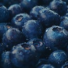 Blueberries and Muscle Recovery