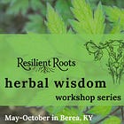 herbal wisdom workshops - hormone and menstrual health