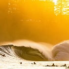 Flotsam Festival 2025 brings surf culture alive