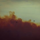 L.A. Fires — How to Help