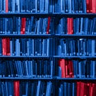 The Truth About Banned Books